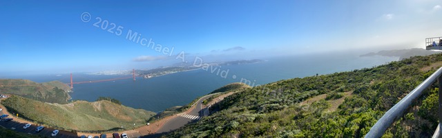 nature_2023-06-01 17.57.08-2023.jpg